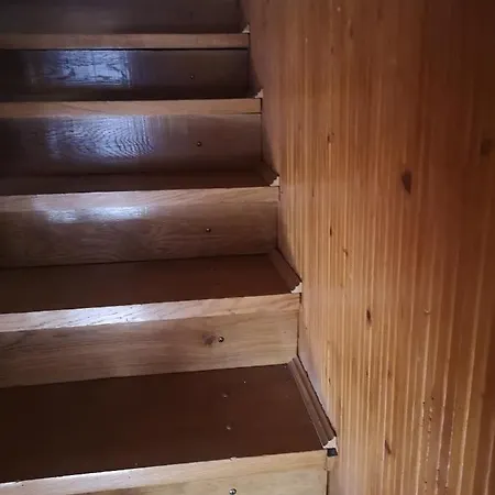Appartement - Stefana Zeromskiego In Garden Poland *