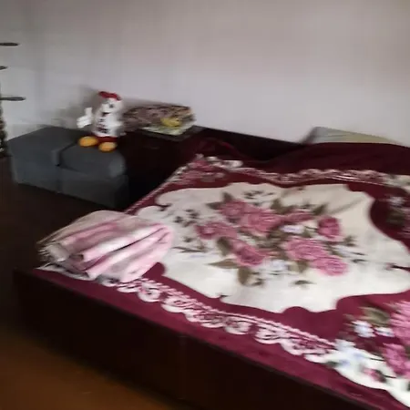 - Stefana Zeromskiego In Garden Poland Appartement Rybnik (Silesia)